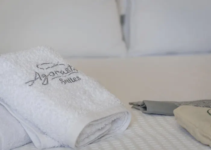 アパートホテル Agorastos